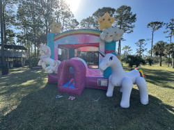 IMG 1441 1738269443 NEW ARRIVAL!! XL Enchanted Unicorn