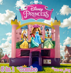 NOW AVAILABLE!! Disney Princess 5 in 1