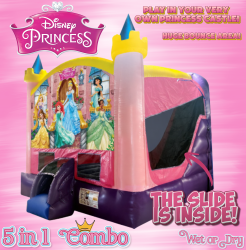 Untitled20design2045 1764209203 NOW AVAILABLE!! Disney Princess 5 in 1