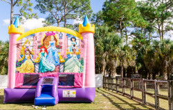 IMG 3467 1766031800 NOW AVAILABLE!! Disney Princess 5 in 1