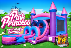 NEW ARRIVAL!! Pink Princess Combo